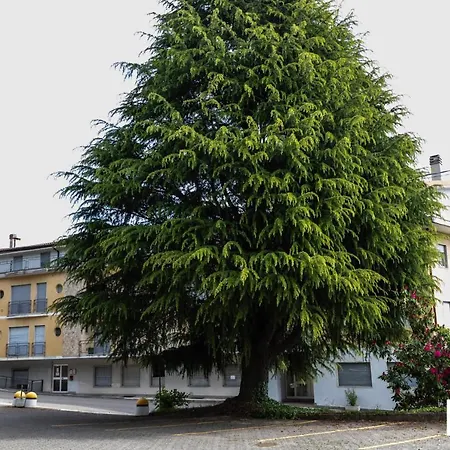 Apartman Casa Liviya - Con Vista